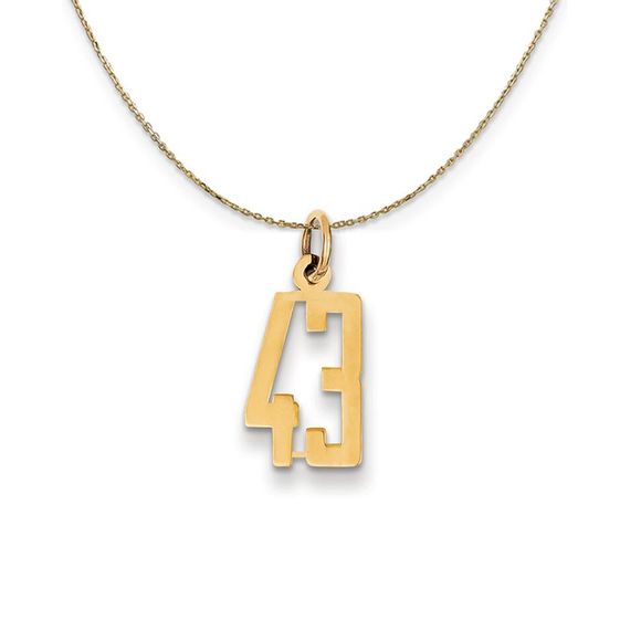 14k Yellow Gold, Alumni Small Elongated Number 43 Necklace...